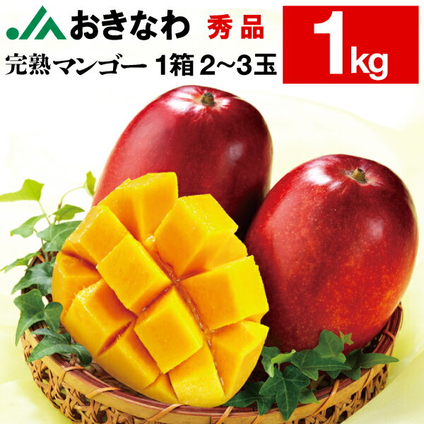 マンゴー 沖縄 秀品 ギフト 1kg JAお