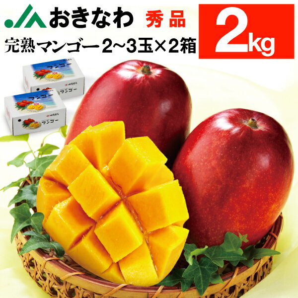 楽天市場】沖縄 マンゴー 秀品 2kgの通販