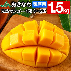 マンゴー 沖縄 家庭用 JAおきなわ 訳あり 完熟マンゴー 1.5kg アップルマンゴー 3～6玉 送料無料 訳ありマンゴー mango 完熟 旬の果物 フルーツ 果物 産地直送 お取り寄せ 国産 自宅用 マンゴージュース 7/17以降順次出荷