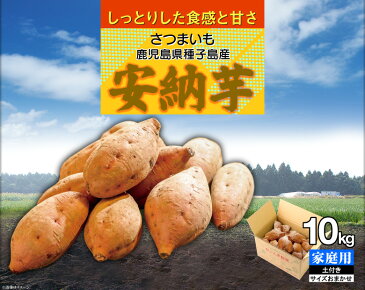 さつまいも 鹿児島県種子島産 安納芋（生芋）訳あり 家庭用 約10kg 1箱【送料無料】からいも サイズおまかせ お試し おトクな大容量