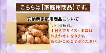 さつまいも 鹿児島県種子島産 安納芋（生芋）訳あり 家庭用 約10kg 1箱【送料無料】からいも サイズおまかせ お試し おトクな大容量