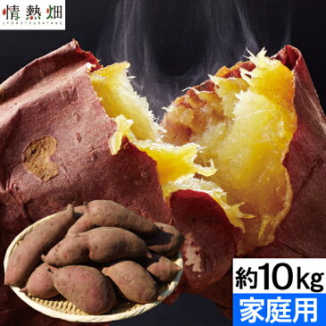 さつまいも 鹿児島県大隅産 紅はるか（生芋）訳あり 家庭用 約10kg 1箱【送料無料】熟成 からいも サイズおまかせ お試し おトクな大容量