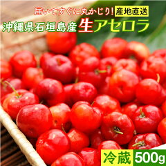 https://thumbnail.image.rakuten.co.jp/@0_mall/jyonetsubatake/cabinet/item/fruits/51717-c1/51717-c1_m.jpg