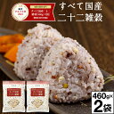 \グルメ大賞2023受賞/ 雑穀米 雑穀 すべて 国産 二十二雑穀 920g 送料無料 460g入 2袋 国産雑穀米 健康食品 たんぱく質 鉄 タンパク質 ヘルシー 押し麦 押麦 黒米 丸米 もち玄米 ひえ 1kg 未満 1000円ポッキリ