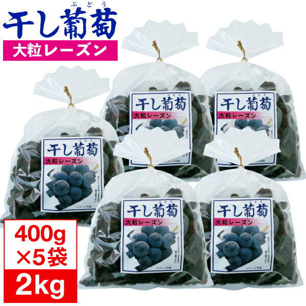 楽天情熱畑　楽天市場店【ポイント2倍 最短当日出荷】 干しぶどう 大粒 レーズン ナガトク 干し葡萄 2kg 400g×5袋 セット 送料無料 ドライフルーツ 干しブドウ 砂糖不使用 トンプソンレーズン スイーツ たっぷりサイズ 1kg 以上 まとめ買い 輸入 フルーツ 果物 食品 巨峰の郷