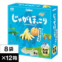 【ポイント2倍 最短当日出荷】 カルビー じゃがほっこり 五島灘 の塩味 8袋×12箱 1ダース 送料無料 Calbee 鹿児島工場 ポテト スティック スナッ...