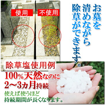 送料無料 除草剤 塩 お墓の除草塩1kg×3袋セット 安心安全天然100％岩塩の除草剤 あす楽 【おまけ付！ミネラル豊富な天然食塩！ヒマラヤ岩塩】 ヒマラヤ岩塩 除草 お彼岸 お盆 お墓参り お墓掃除 仏具