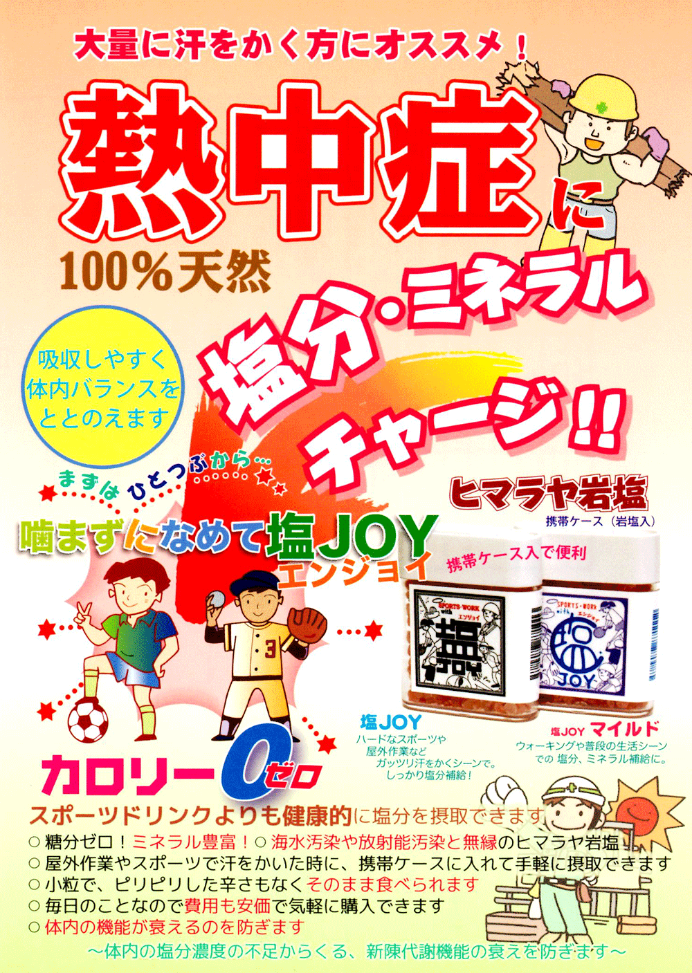 ヒマラヤ岩塩塩JOYリーフレット