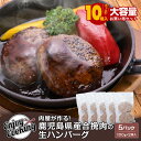 肉屋が作る！鹿児島県産合挽肉の生ハンバーグ 5パック(100g×2個入 計10個)
