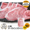 【お買い得｜送料無料】A5等級 鹿児島県産黒毛和牛 大判 サーロインスライス 500g