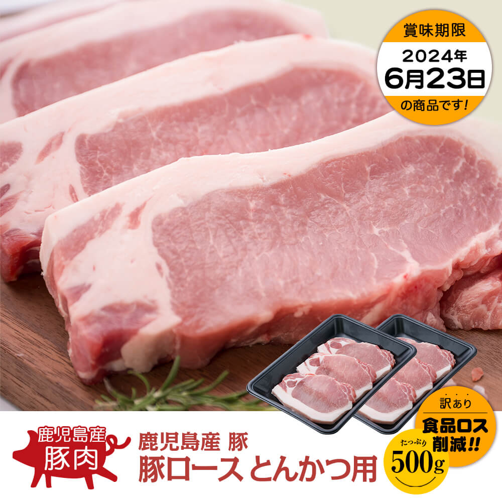 鹿児島県産 豚ロースとんかつ用 500g(250g×2)