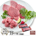 A5等級 鹿児島県産 黒毛和牛 ヒレ ステーキ(2種盛) 480g(240g×2)