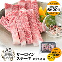 【お買い得】A5等級 鹿児島県産 黒毛和牛 サーロイン ステーキ (カット済み) 250g|カミチク ファーマーズマーケット