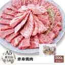 A5等級 鹿児島県産 黒毛和牛 赤身 焼肉 200g|カミチク ファーマーズマーケット
