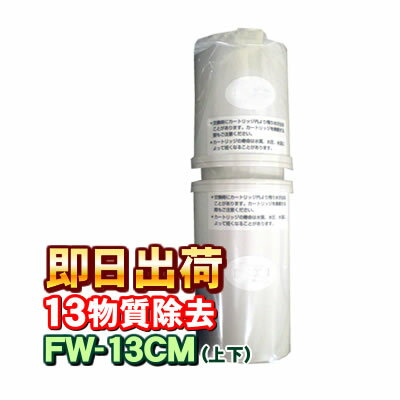 【あす楽対応】 フジ医療器 純正カートリッジ FW-13CM 【トレビFW-507、FW-5050、FWH-6000など】