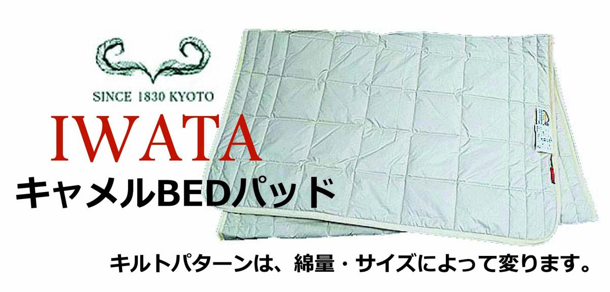 イワタキャメルBEDパッドクイーン　1.6kg入り