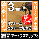 南海アートフロア LIP3