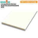 【全品対象200円OFFクーポン】棚板 Ecoサイズ ホワイト色 2枚入 長さ767mm 奥行450mm 厚み21mm 5面化粧 仕上げてる棚板 ウッドワン W...