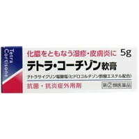 【第2類医薬品】テトラ コーチゾン軟膏 5g【湿疹】【皮膚炎】