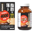 【第2類医薬品】【阪本漢法】アンラビリSS 360錠【防風通聖散】【ボウフウツウショウサン】