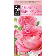 【カネボウ】エビータ トリートメントヘアカラー【6B ダークブラウン】45g+45g【ヘアカラー】【白髪染め】【医薬部外品】【EVITA】【エビータ】