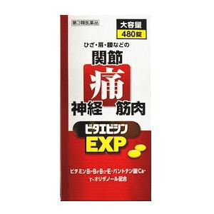 【第3類医薬品】ラクペタン液 100mL 【6個セット】【お取り寄せ】(4944661145419-6)