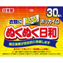 ホッカイロ ぬくぬく日和 貼るレギュラー 30個入り【使い捨てカイロ】【温熱用品】【興和】【カイロ】【日本製】の商品画像