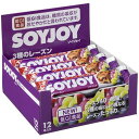 【大塚食品】ソイジョイ　3種のレーズン　1箱(12本入)【大