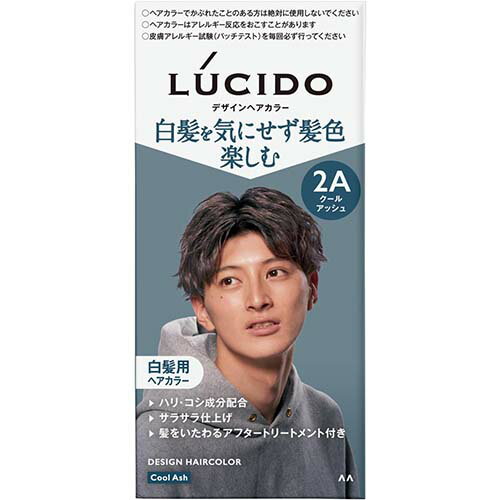 【マンダム】LUCIDO(ルシード) デザインヘアカラー 【クールアッシュ】【白髪染め】【医薬部外品】【メンズ】【白髪用ヘアカラー】