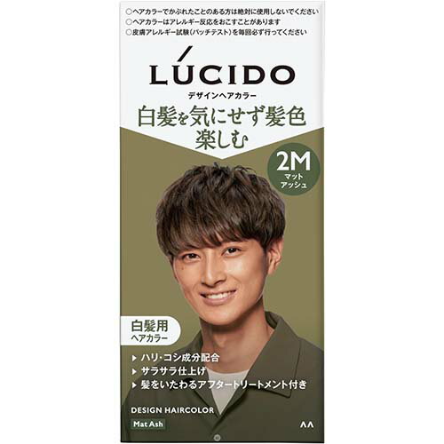 【マンダム】LUCIDO(ルシード) デザインヘアカラー 【マットアッシュ】【白髪染め】【医薬部外品】【メンズ】【白髪用ヘアカラー】