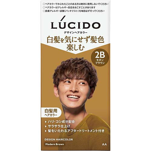 【マンダム】LUCIDO(ルシード) デザインヘアカラー 【モダンブラウン】【白髪染め】【医薬部外品】【メンズ】【白髪用ヘアカラー】