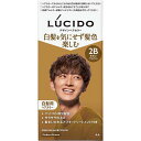 【マンダム】LUCIDO(ルシード) デザインヘアカラー 【モダンブラウン】【白髪染め】【医薬部外品】【メンズ】【白髪用ヘアカラー】