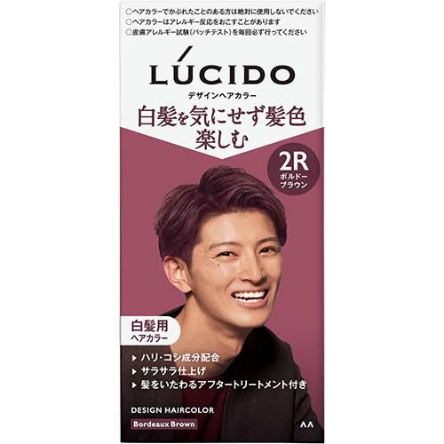 【マンダム】LUCIDO(ルシード) デザインヘアカラー 【ボルドーブラウン】【白髪染め】【医薬部外品】【メンズ】【白髪用ヘアカラー】