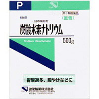 【第3類医薬品】【健栄製薬】炭酸