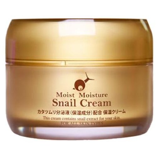 skin holic（スキンホリック）　モイストモイスチャークリーム　50g