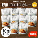 にしきや【野菜ゴロゴロカレー お得な10個セット】★甘口★巣ごもり応援 まとめ買い　低カロリー送料無料　にしきや（7大アレルゲン不使用・無添加・レトルト）nishikiya