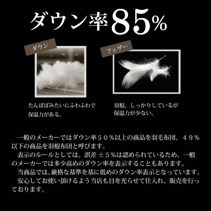 寝具【予約販売】【★お買い物マラソン限定クーポン配布中★】西川 超目玉 ダウン85％ 羽毛布団 セール 掛け布団 ダブル ダブルロング 日本製 色柄込み 婚礼布団 ブライダル ブライダル布団 ギフト 抗菌防臭 軽量羽毛布団 ポリジン加工 西川 綿災害グッズ父の日 jyukusuimarket-10000320 おふとんとギフトの熟睡マーケット サンプル画像2