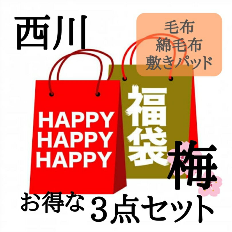 寝具【★124h限定 高額クーポン配布中★】【2024年福袋 梅】西川 毛布 敷パッド 綿毛布 3点セット 西川 シングル 2枚合わせ毛布 綿毛布 ..