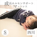 寝具【★5/1限定11％OFFクーポン配布