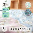 寝具【★母の日ギフト日時指定可クーポン配布★】西川 ダウンケット 羽毛肌布団 夏用 西川 シングル 肌布団 羽毛肌布団 肌掛け布団 羽毛肌 洗える ウォッシャブ...