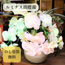 ギフト 【★母の日ギフト日時指定可クーポン配布★】提灯 盆提灯 新盆 初盆 LEDインテリア提灯 ルミナス 胡蝶蘭 豪華 華やか 仏具 御供 法事 お盆お彼岸災...