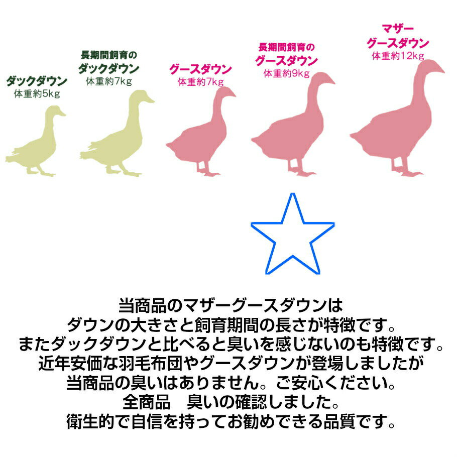 寝具【★★母の日＆GW限定P2倍〜さらにクーポン発行6日迄★★】布団セット シングル グース羽毛布団 6点 グース90~93% 西川 西川リビング シングルロング 羽毛掛け布団 羽毛布団セット シングル布団セット オールシーズン リバーシブル枕 カバー3点 おまかせ羽毛