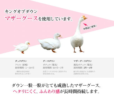 寝具【夏物早期割引大特価♪】布団セット 色柄込み マザーグース93% シングル 西川 体圧分散敷布団 健康敷布団 床ずれ防止 羽毛布団 8点 西川 シングルロング 羽毛布団セット シングル布団セット ホテル仕様枕 カバー3点