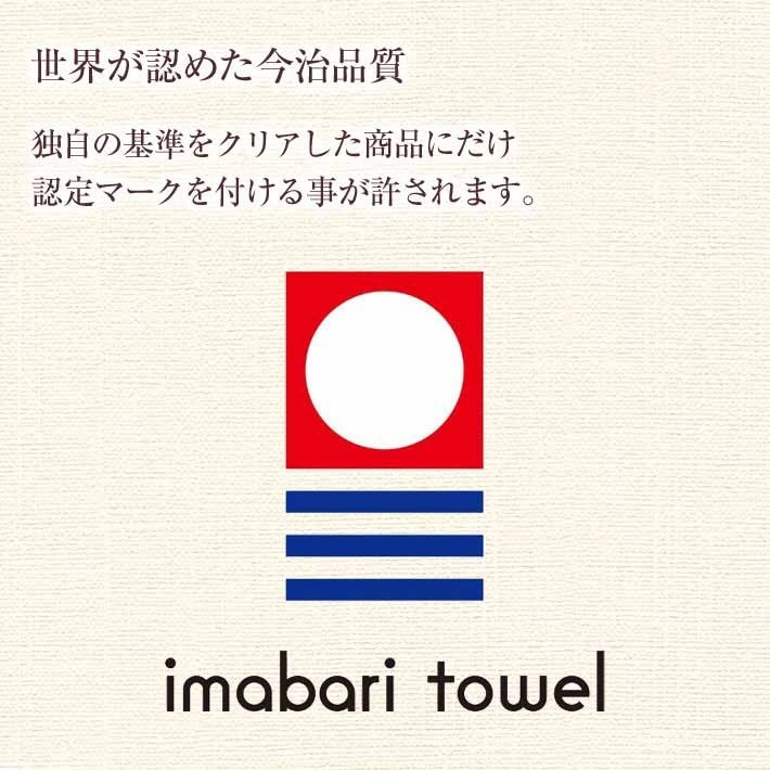 寝具【★★母の日&GW限定P2倍〜さらにクーポン発行6日迄★★】タオルケット 今治 シングル やわらか コットンタオルケット 夏掛け 肌掛け 子供 厚手 柄 おしゃれ 涼感 吸水 やさしい暮らし 通気性 洗える パイルケット ブランケット オールシーズン ギフト