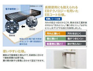 南海プライウッド 壁厚ニッチシリーズ サニタトイレ収納ボックスM SA15-300M -CW 10900015デッドスペース有効活用 Mタイプ 埋め込み収納 壁厚収納壁面収納 収納 簡単 取り付け DIY背面収納 新築 リフォーム