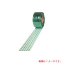 アキレス(Achilles) ストリップ型ドアカーテン アキレスミエール一般制電ライン2×200 【品番:MI-LINE-220-30】