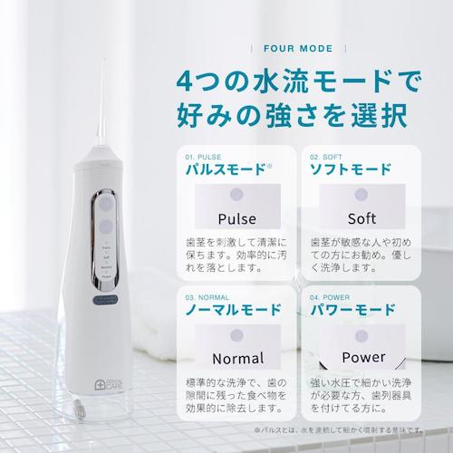 ������ǥ����������åȿ�ή�ǥǥ󥿥륱���������֡�1009693��