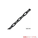 ふじわら ブラックチェーン 【品番:B6-10】