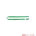オールセーフ(allsafe) ラッシングベルト カム式ラウンド仕様軽荷重 【品番:C2R6】