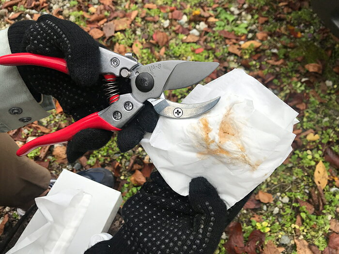 ���륹�����ݥ졼����󡡿�ʪ���꡼�ʡ�������500ml�������֡�GO-5��